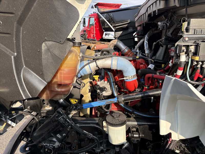 2019 International  4300